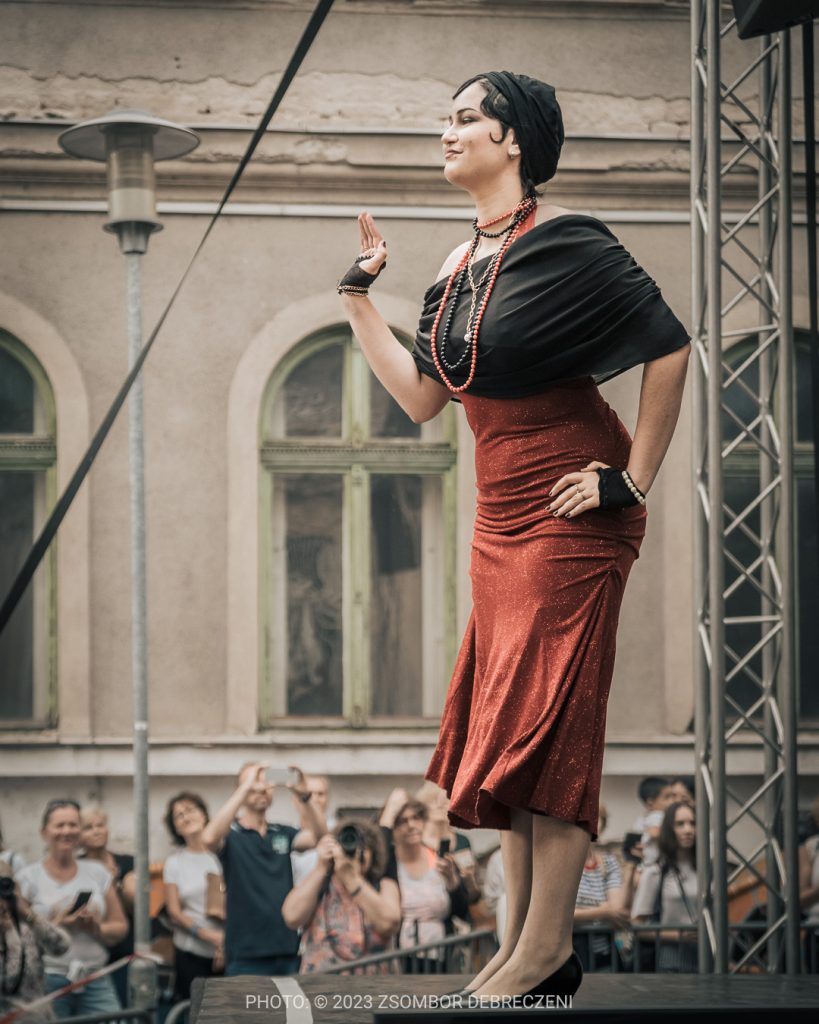 Vörösruhás hölgy Lady in red