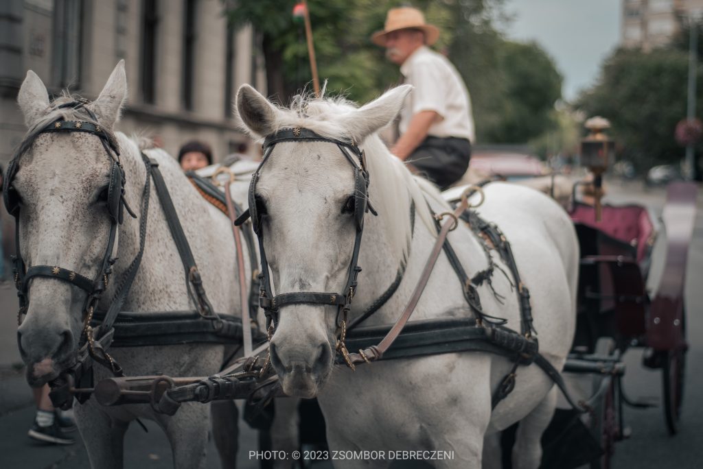 Lovasfogat Horse-drawn carriage