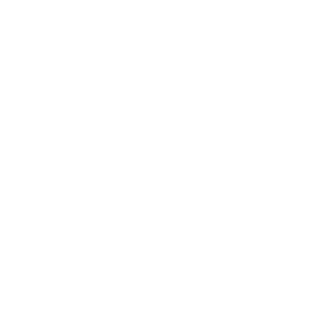 dzsfoto_logo